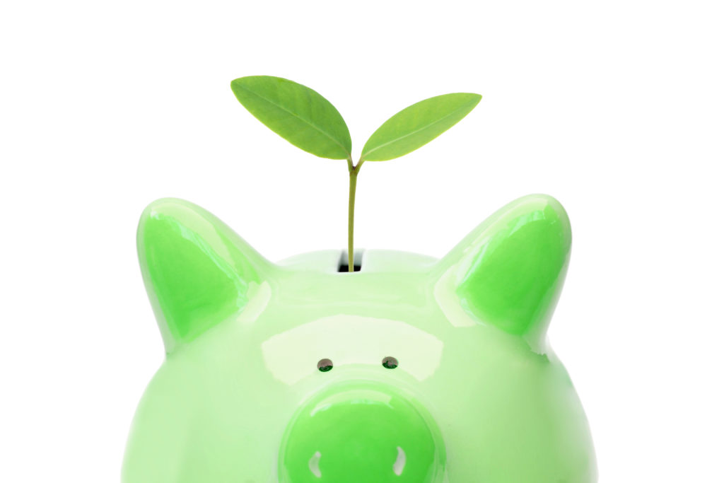 A piggy bank with a green tree / Green saving concept / Economic growth with environmental concern
